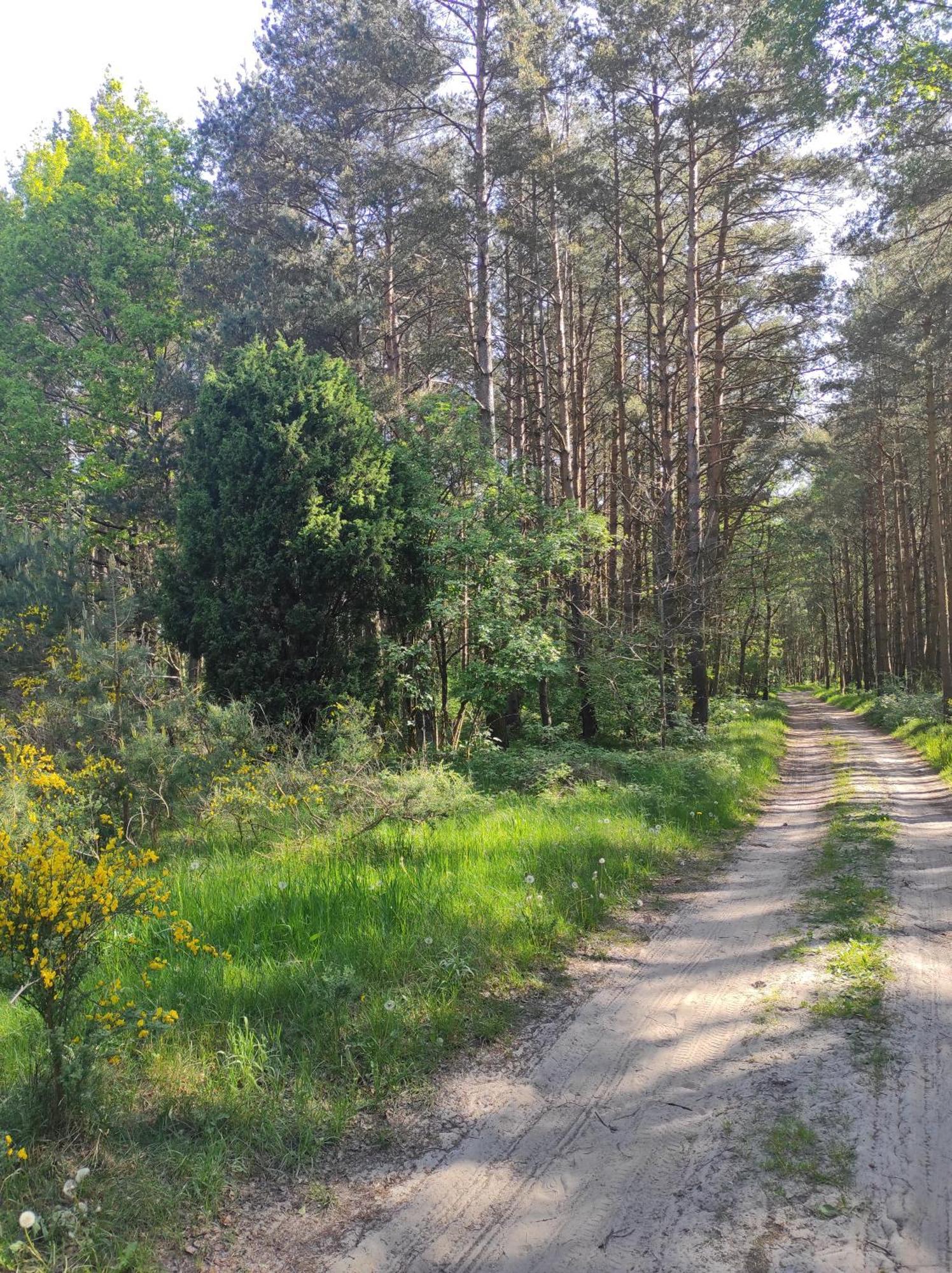 Domki Na Jastrzebiej Mieroszyno エクステリア 写真